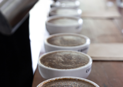 What is Specialty Coffee and Why is it Important?