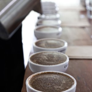 Cupping to determine the Quality of a Coffee's Origin