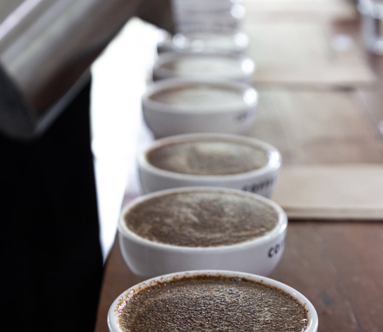 What is Specialty Coffee and Why is it Important?