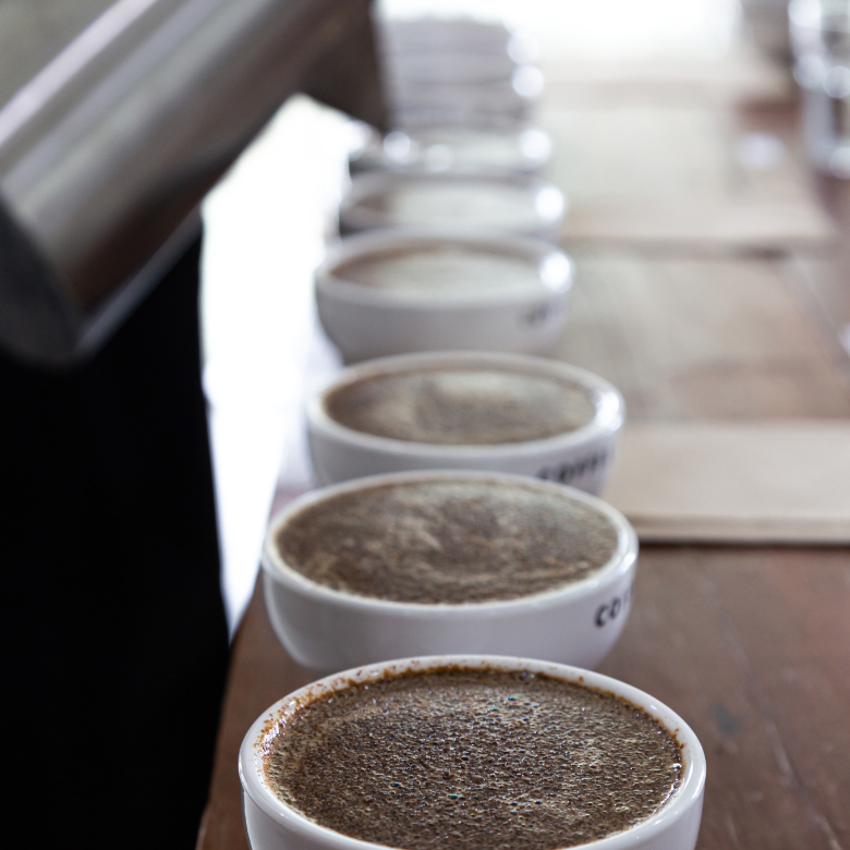 Specialty Coffee Cupping to determine the Quality of a Coffee's Origin