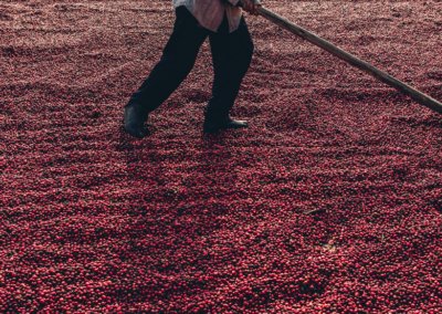What Is Natural Coffee Processing?
