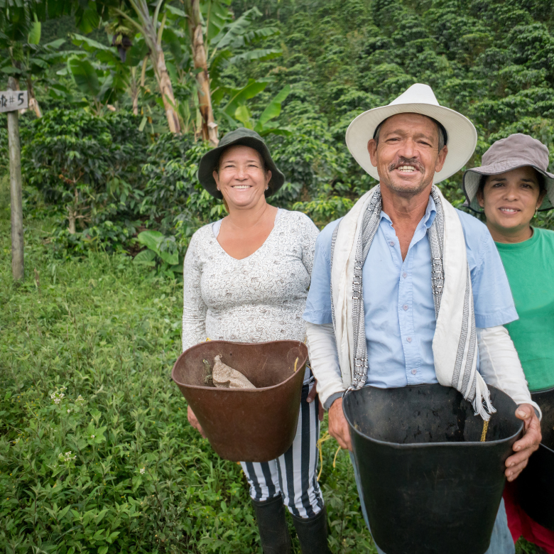 The Growing Specialty Coffee Market - Sustainable Farming