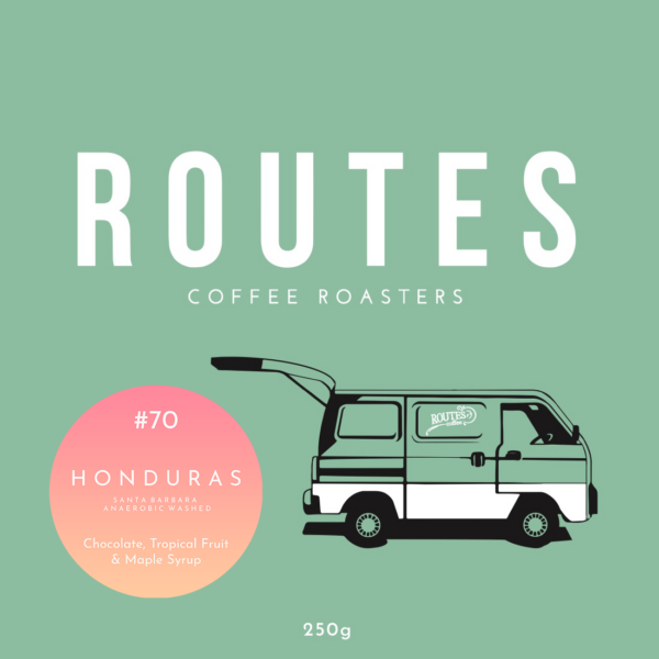 Honduras: Santa Barbara - Anaerobic Washed