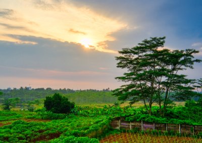 What Makes Coffee Truly Ethical? A Roaster’s Honest Take