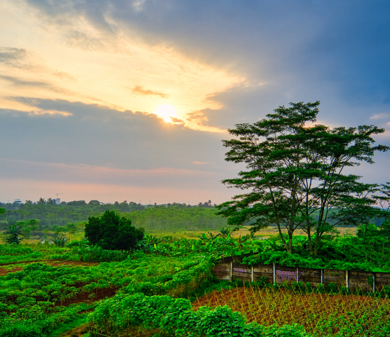 What Makes Coffee Truly Ethical? A Roaster’s Honest Take