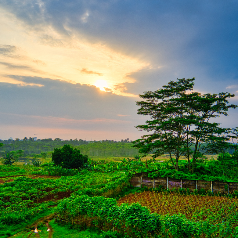 What Makes Coffee Truly Ethical? A Roaster's Honest Take