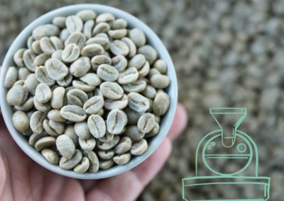 How to Start Home Roasting