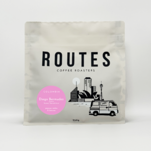 Diego Bermudez: Castillo - Washed Thermal Shock