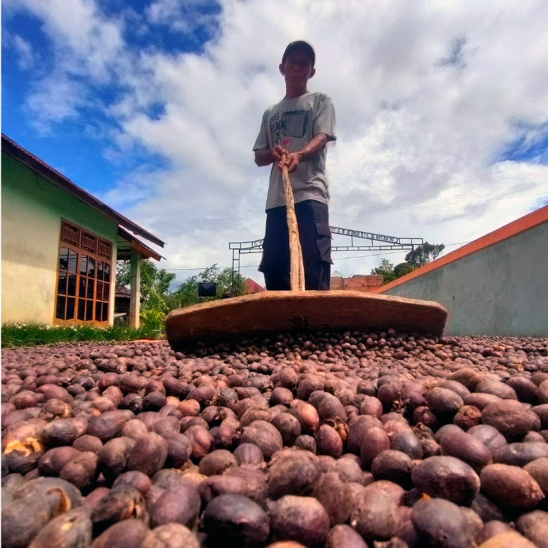 Blog Routes What Is Honey Process Coffee?